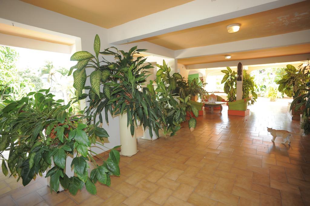 Au Domaine Des Bougainvilliers Villa Sainte-Rose Buitenkant foto